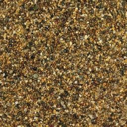 Golden Pea