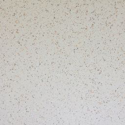 Coral (W47-159)